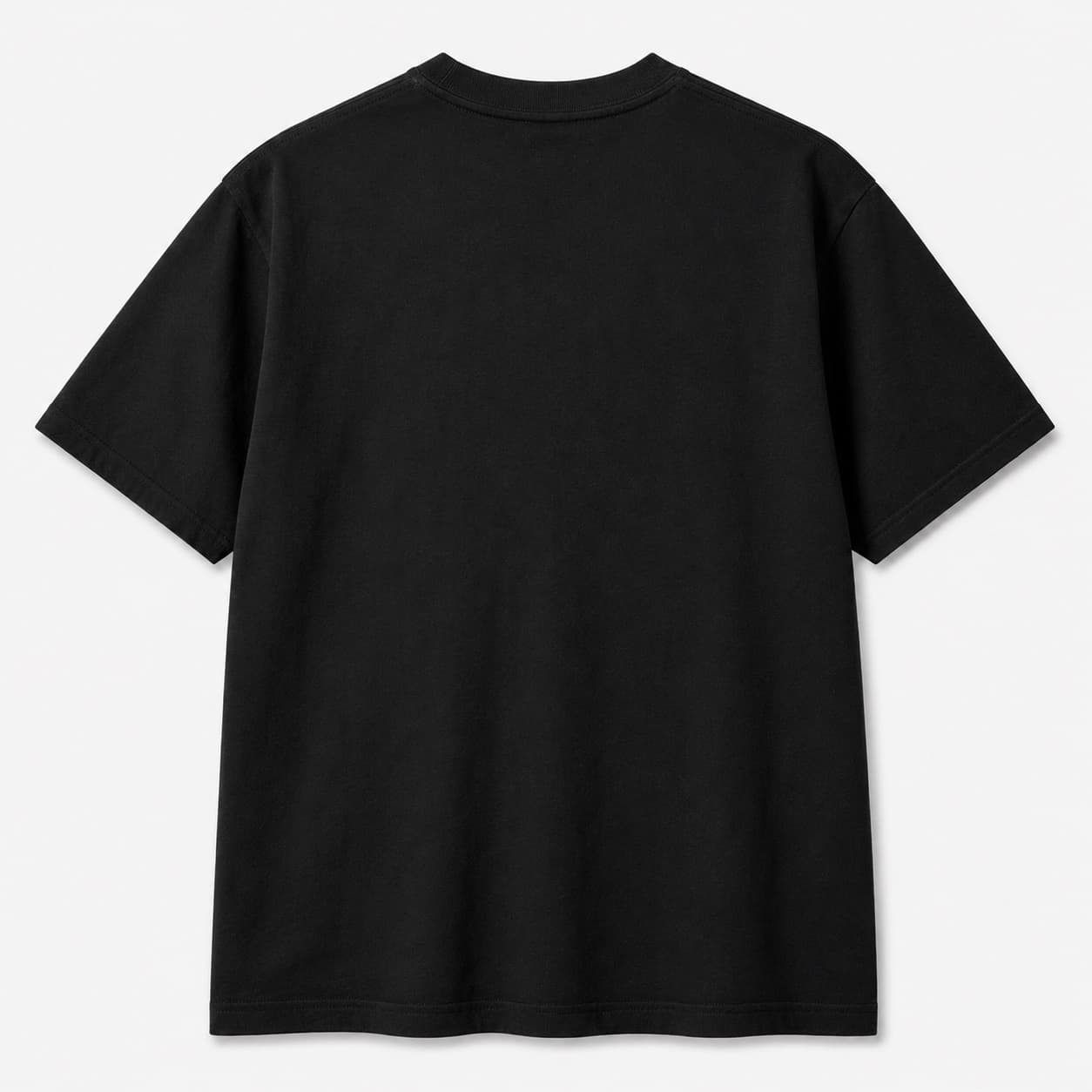 Plain black back of the Freedom Not Pronouns T-shirt