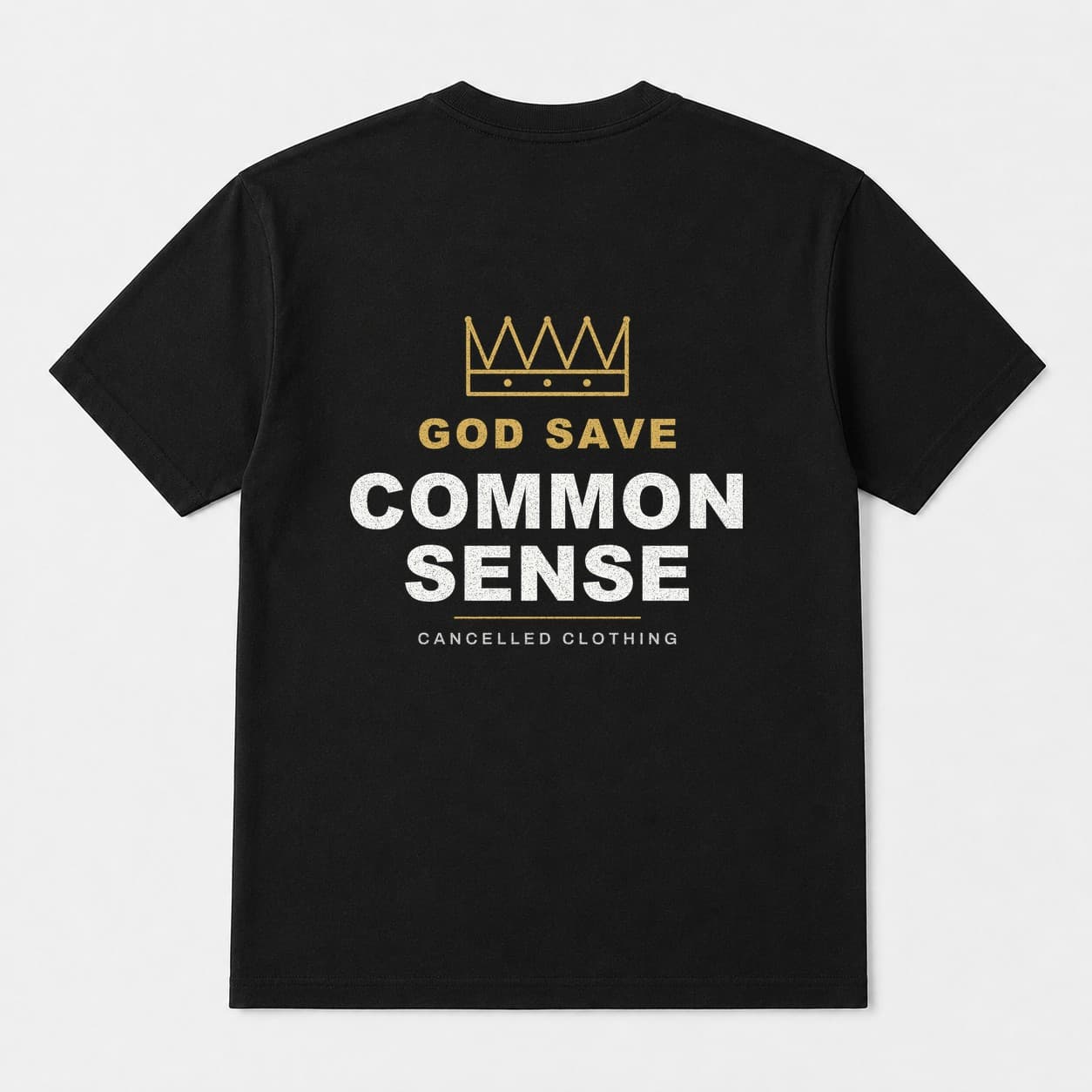 God Save Common Sense t-shirt on a hanger