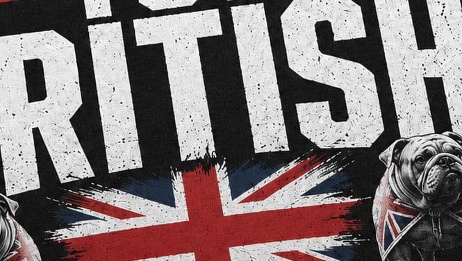 Close-up of the Too British To Apologise For It print
